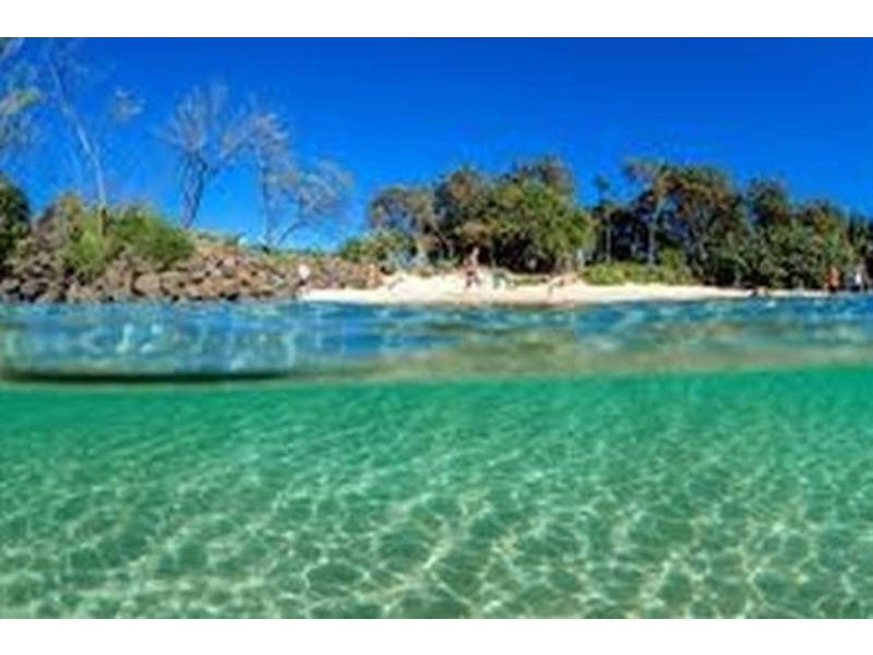 .257 McAuleys Lane, Myocum NSW 2481