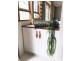 438 Napier Street, Fitzroy VIC 3065
