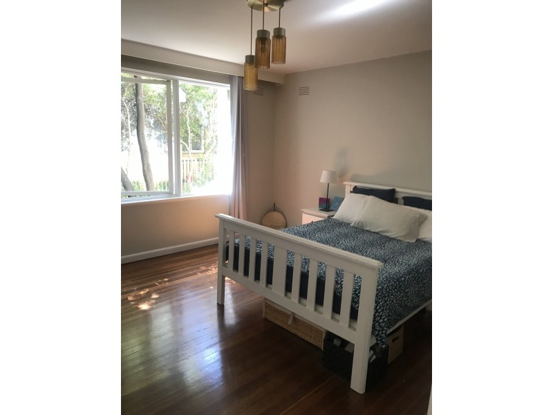 5/14 Milton St, Elwood VIC 3184