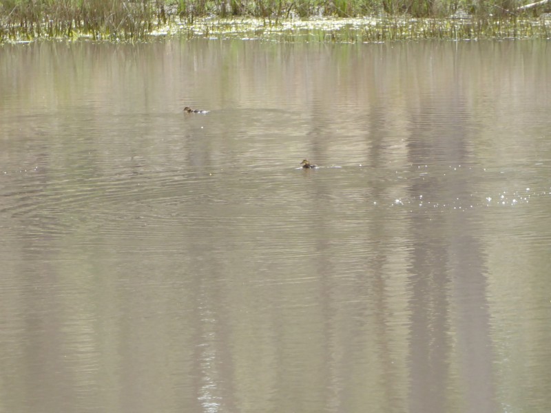 1829 Bundarra Road, Armidale NSW 2350