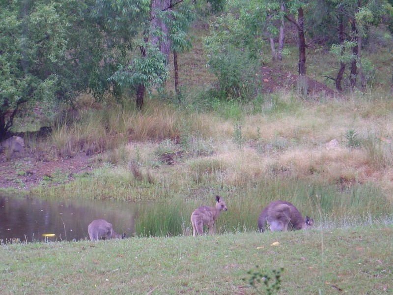 1829 Bundarra Road, Armidale NSW 2350