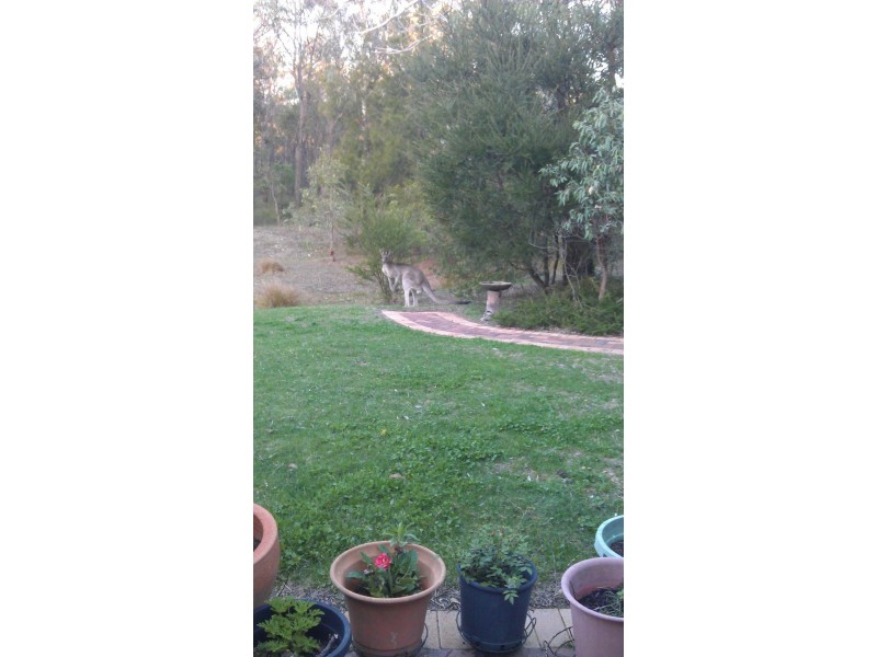 1829 Bundarra Road, Armidale NSW 2350