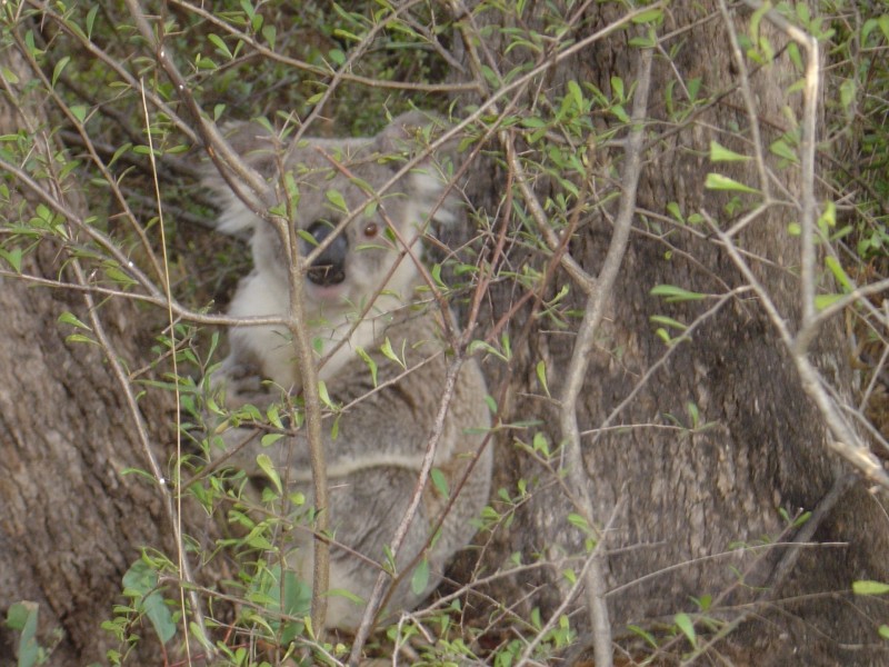 1829 Bundarra Road, Armidale NSW 2350