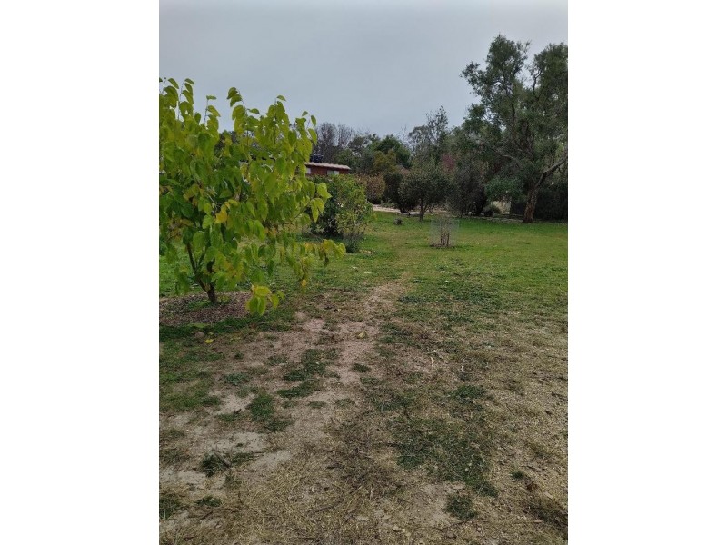 1829 Bundarra Road, Armidale NSW 2350