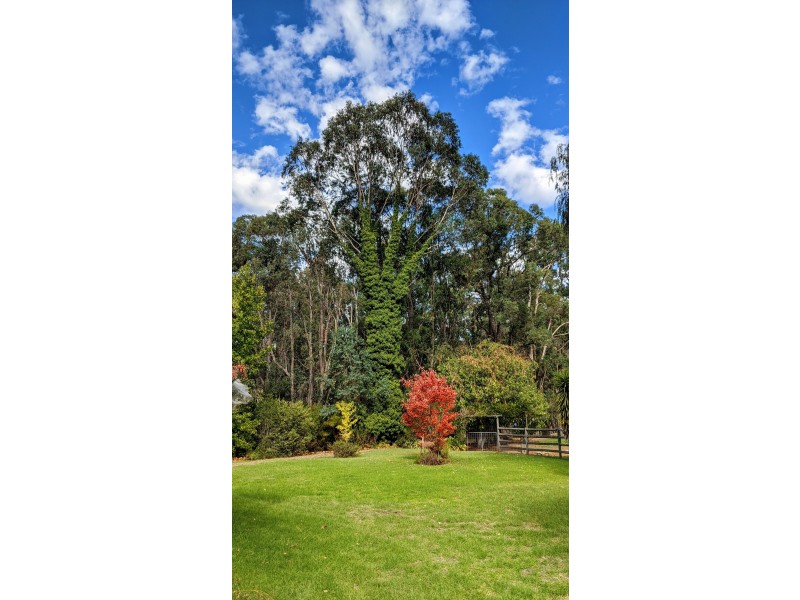 196 Holyoake Road, Dwellingup WA 6213