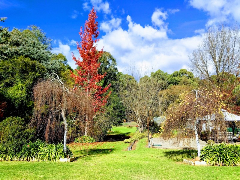 196 Holyoake Road, Dwellingup WA 6213