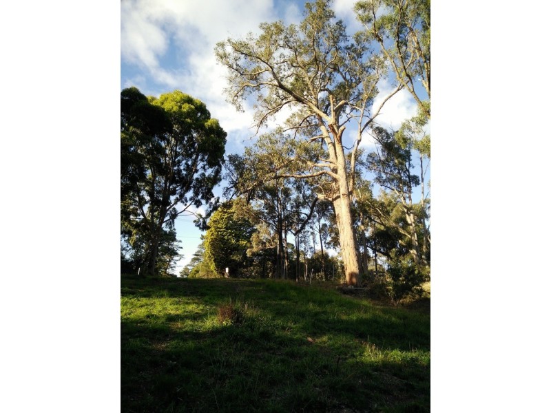 910A Eureka Street, Ballarat East VIC 3350