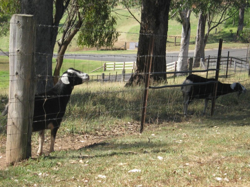 100 Mcwilliam Drive, Douglas Park NSW 2569