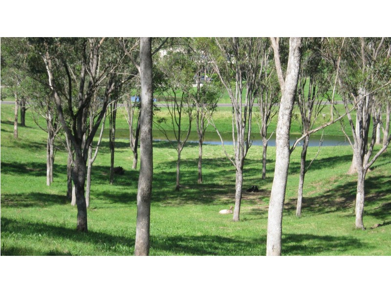 100 Mcwilliam Drive, Douglas Park NSW 2569