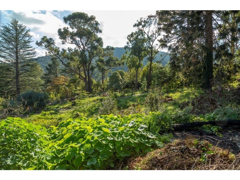 1317 Burwood Highway, Upper Ferntree Gully VIC 3156