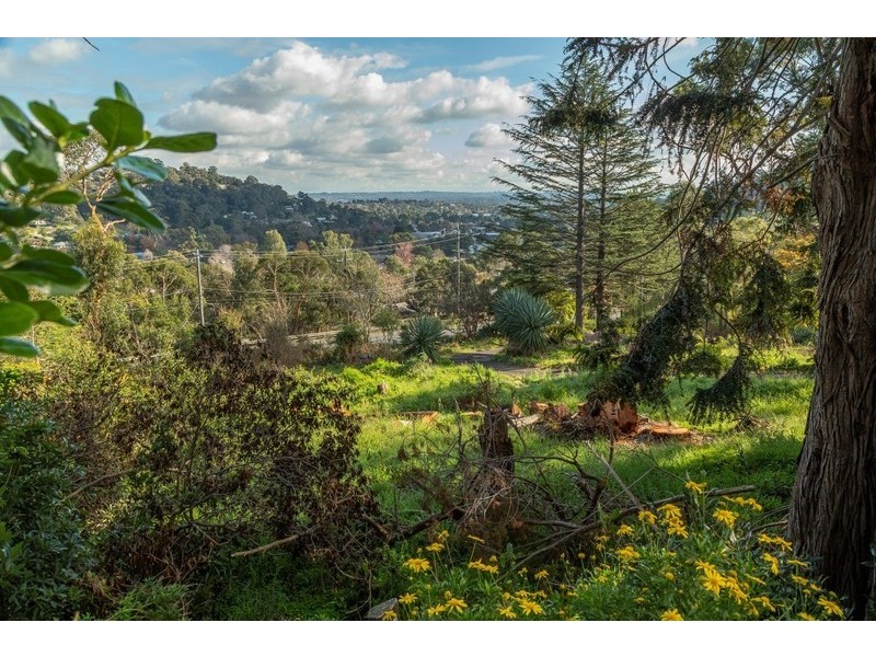 1317 Burwood Highway, Upper Ferntree Gully VIC 3156