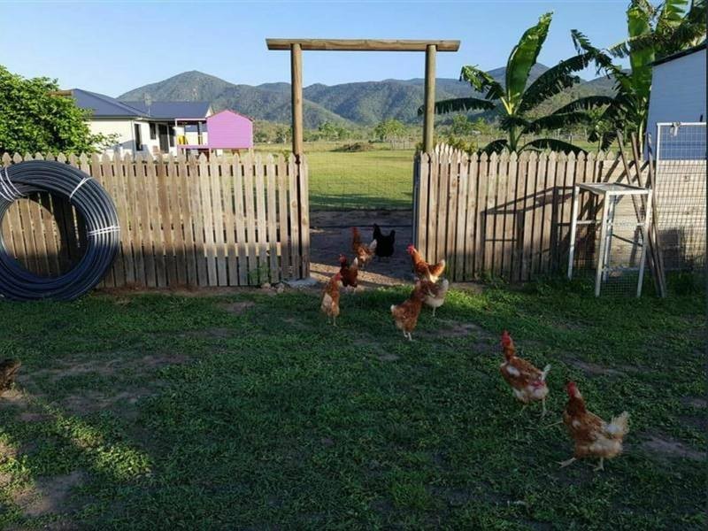 38 Colwell Court, Alligator Creek QLD 4816