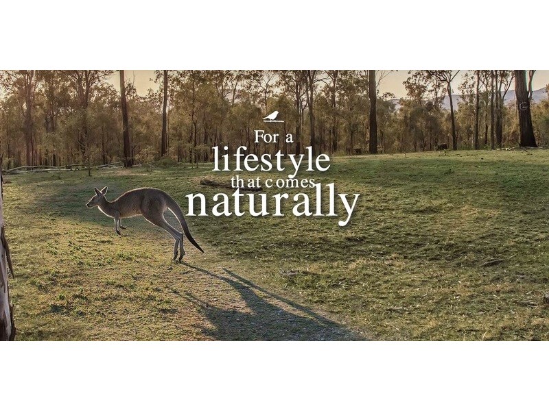 .303 Clarendon Road, Fernvale QLD 4306