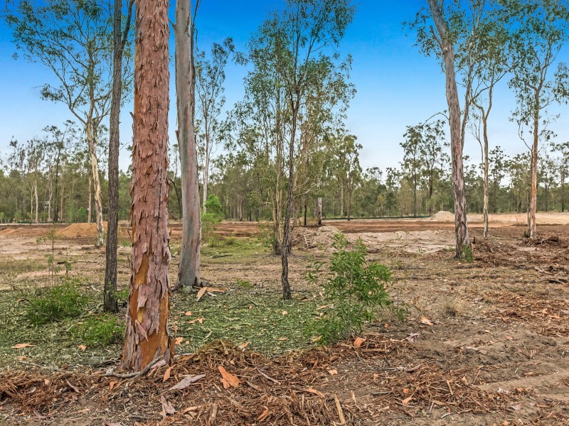 .303 Clarendon Road, Fernvale QLD 4306