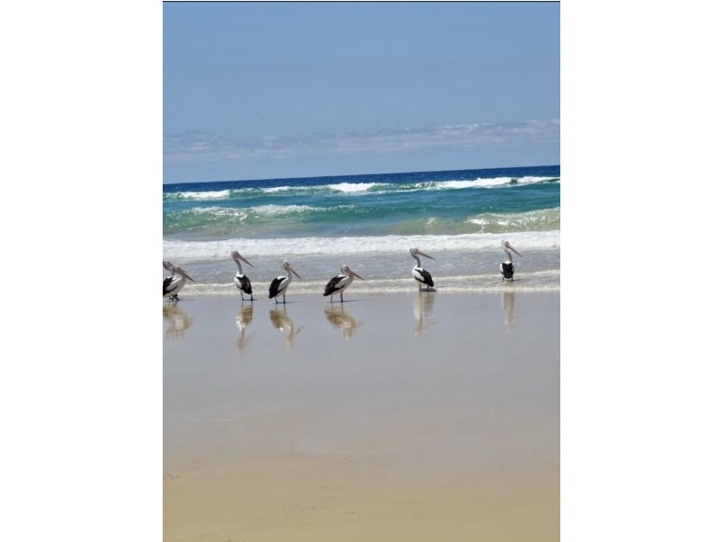 2/22 Tristania Drive, Marcus Beach QLD 4573