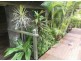 160 Denmans camp Road, Wondunna QLD 4655