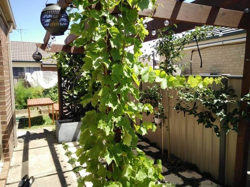 2/43 Knightsbridge Drive, Tarneit VIC 3029