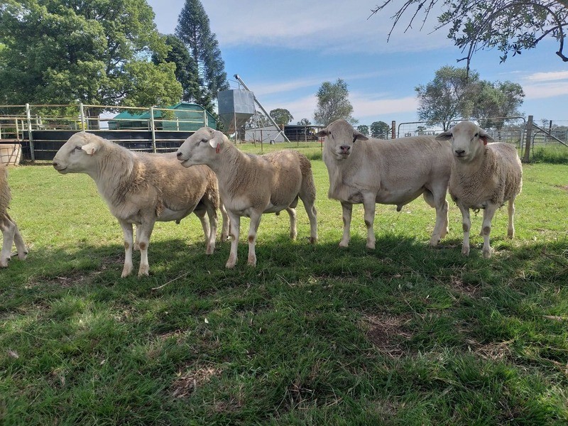 70 West Street, Kingaroy QLD 4610