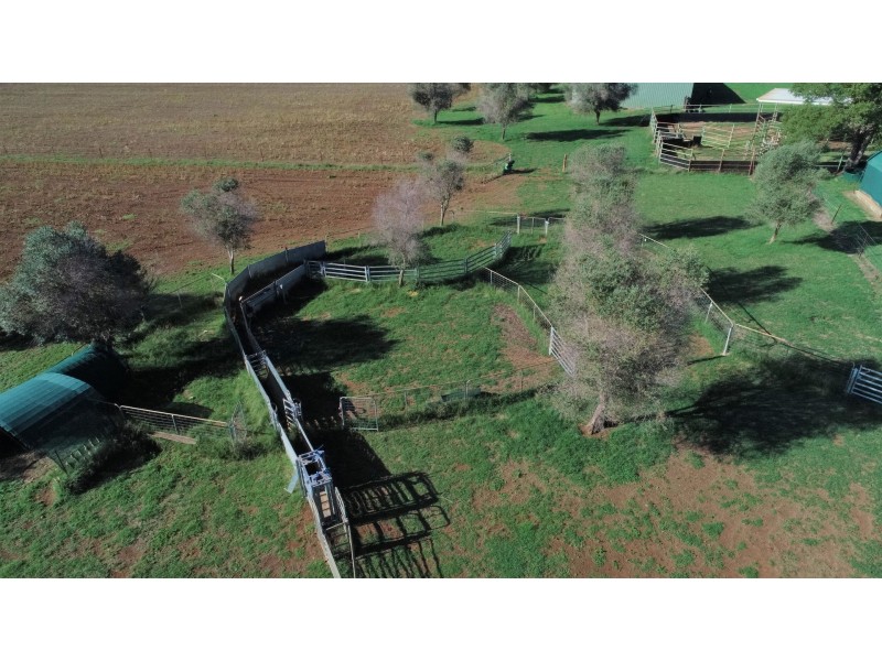 70 West Street, Kingaroy QLD 4610
