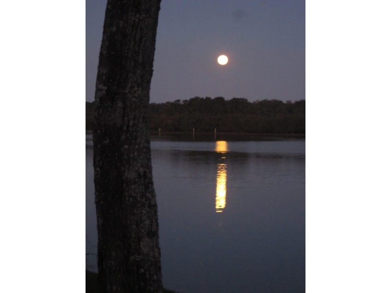 65/1790 Giinagay Way, Nambucca Heads NSW 2448