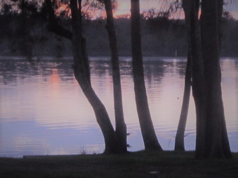 65/1790 Giinagay Way, Nambucca Heads NSW 2448