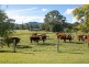 1208 Lansdowne Rd, Lansdowne NSW 2430