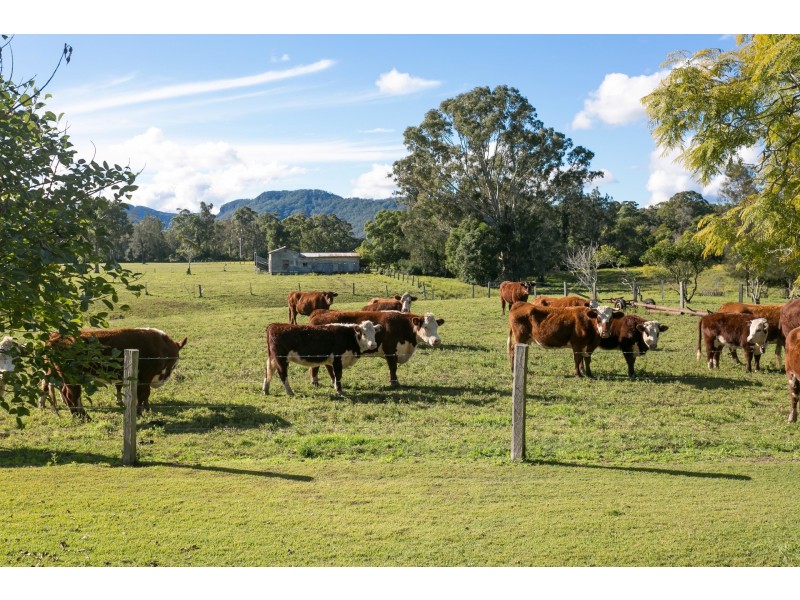 1208 Lansdowne Rd, Lansdowne NSW 2430