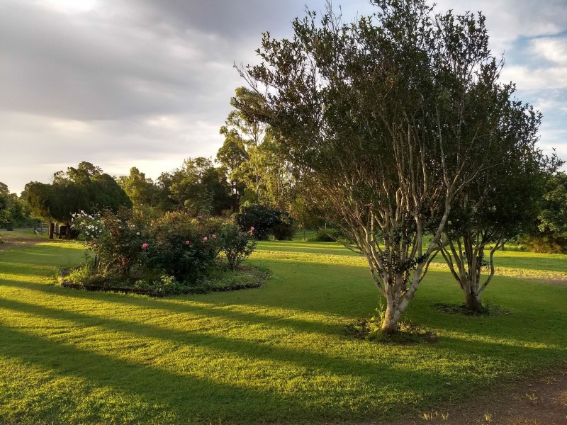 1208 Lansdowne Rd, Lansdowne NSW 2430