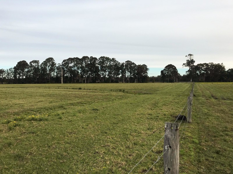 1208 Lansdowne Rd, Lansdowne NSW 2430