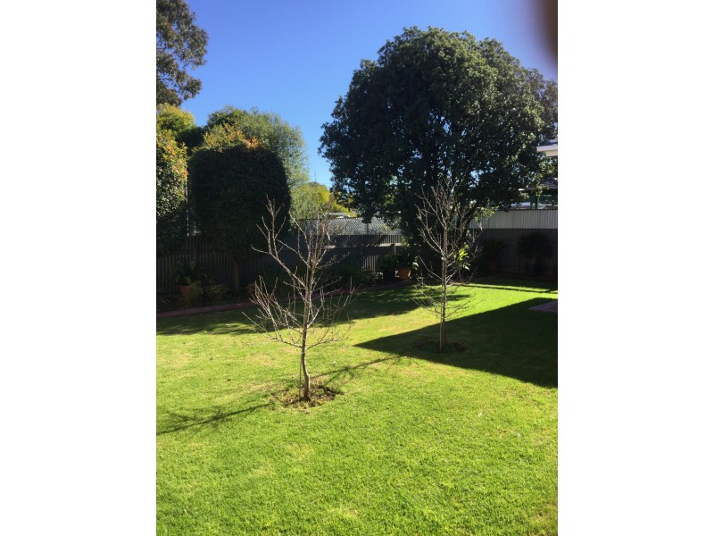 Clarence Gardens SA 5039