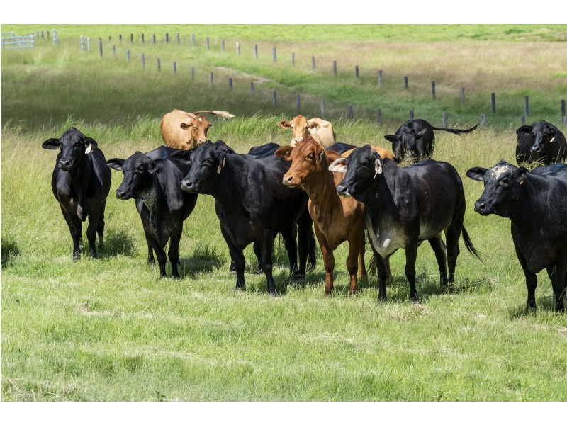 200 Dunford Road West, Yerra QLD 4650