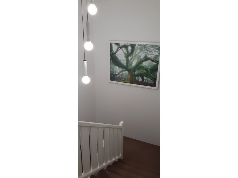 3 Bellbird St, Bayview Heights QLD 4868