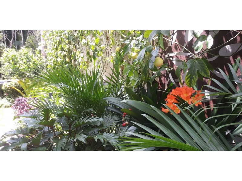 84/25 Owen Creek Road, Forest Glen QLD 4556