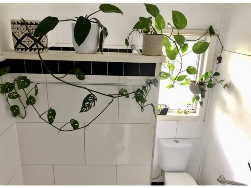 409 Ballina rd, Lismore NSW 2480