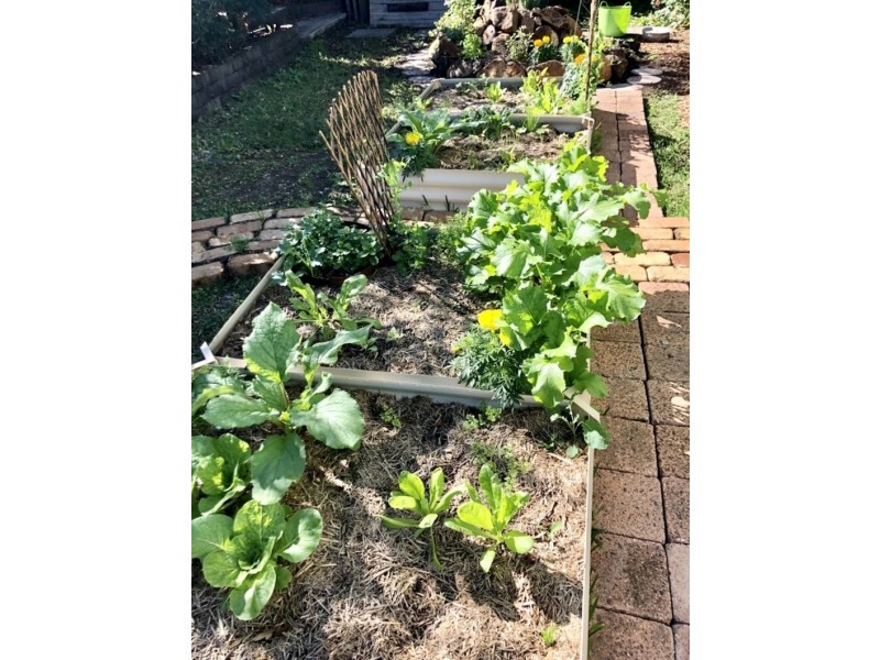 409 Ballina rd, Lismore NSW 2480