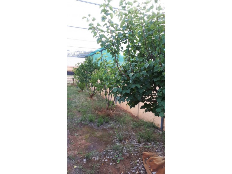 412 West Maiala Road, Balladoran NSW 2831