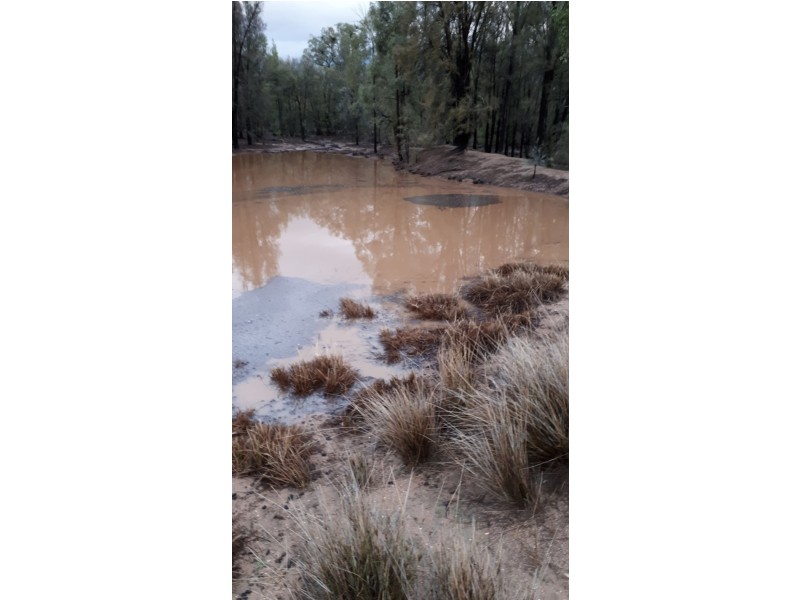 412 West Maiala Road, Balladoran NSW 2831