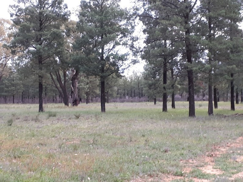 412 West Maiala Road, Balladoran NSW 2831