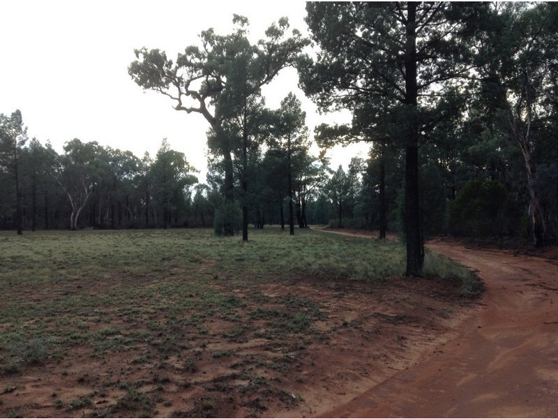 412 West Maiala Road, Balladoran NSW 2831