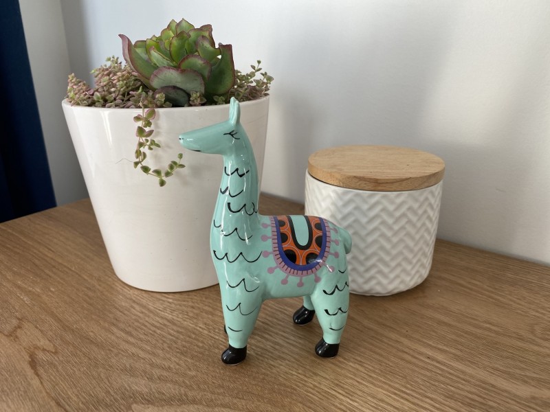 93 Ian Nicol Street, Watson ACT 2602