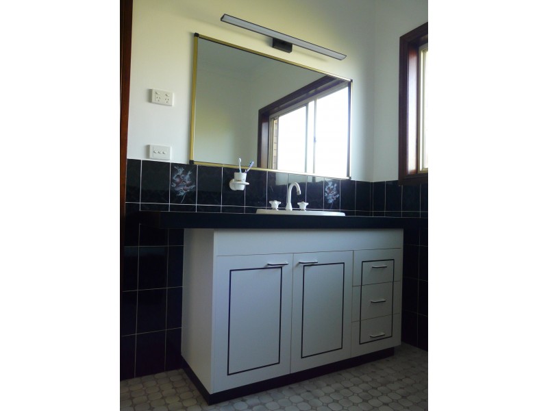 22 Douglas Street, Geurie NSW 2831