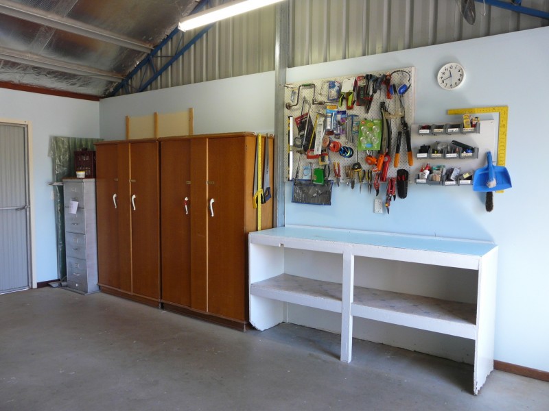 22 Douglas Street, Geurie NSW 2831