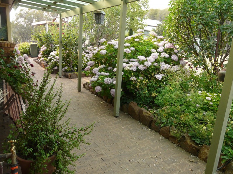 22 Douglas Street, Geurie NSW 2831