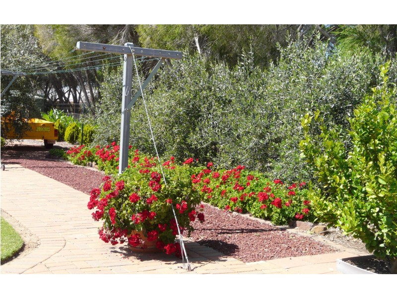 22 Douglas Street, Geurie NSW 2831