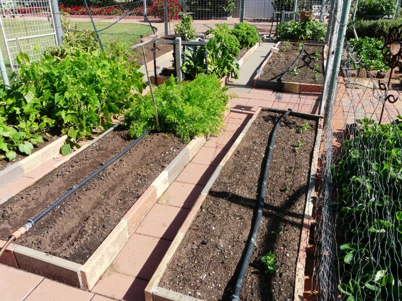 22 Douglas Street, Geurie NSW 2831