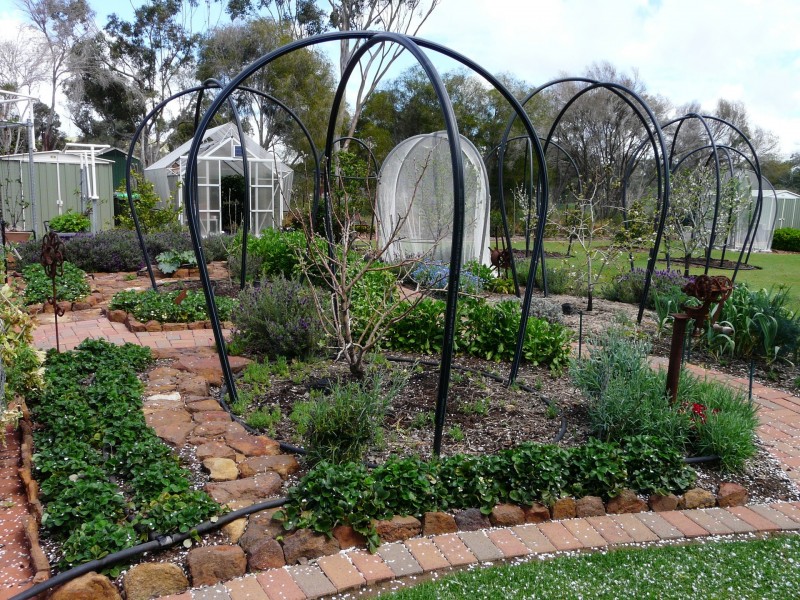 22 Douglas Street, Geurie NSW 2831