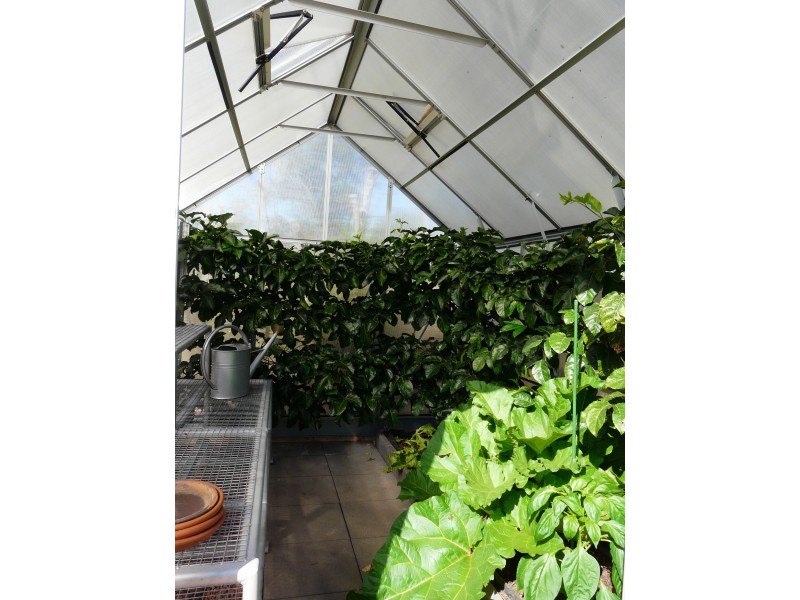 22 Douglas Street, Geurie NSW 2831