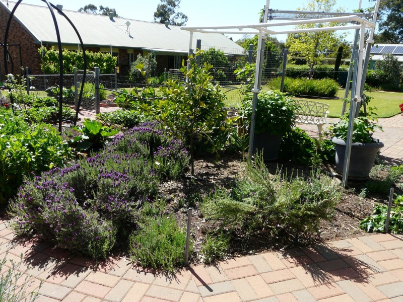 22 Douglas Street, Geurie NSW 2831