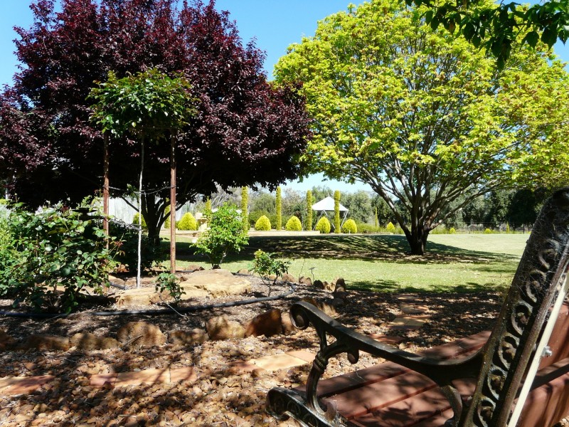 22 Douglas Street, Geurie NSW 2831