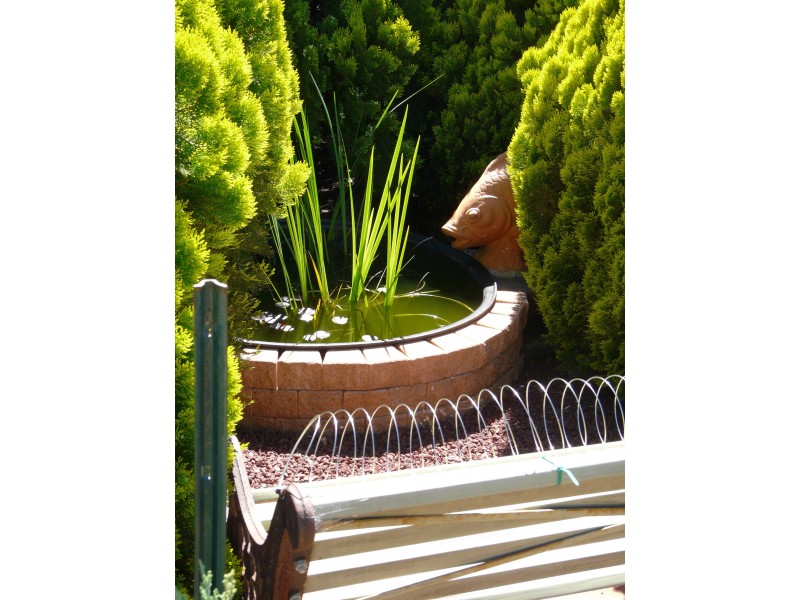 22 Douglas Street, Geurie NSW 2831